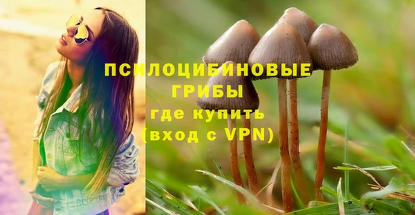 круглые Аркадак